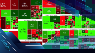 کاور بورس پویا