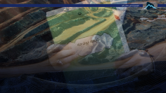 کاور قلب سیایت