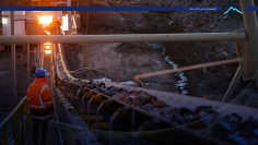 کاور گزاره مس