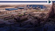 کاور رشد ارفع