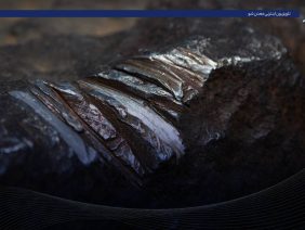 کاور مس و نیکل